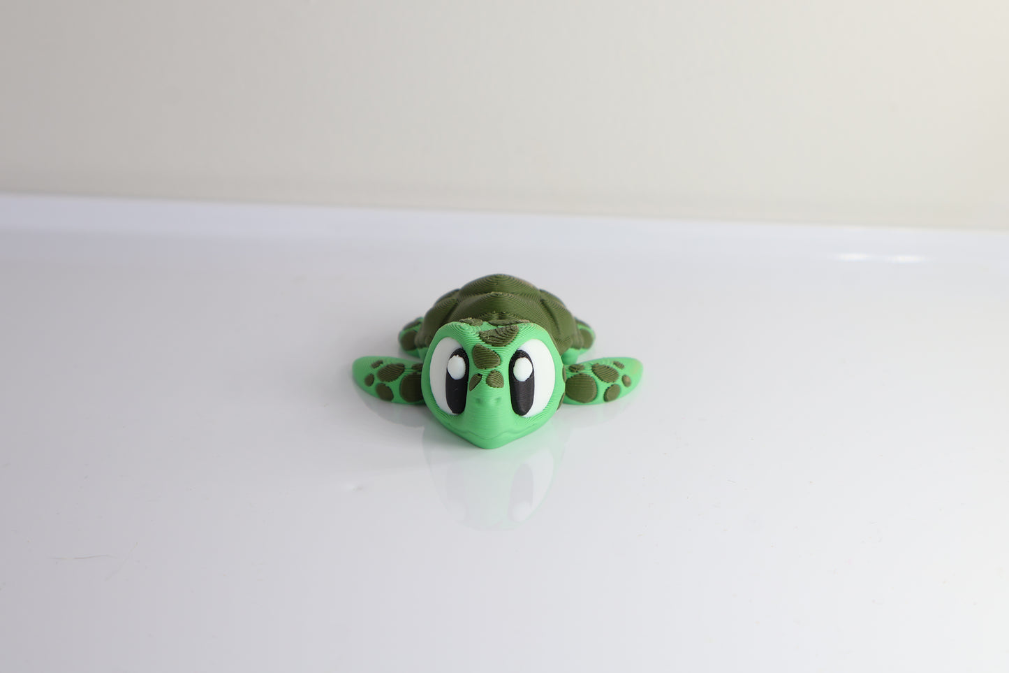 3D Printed Turtle